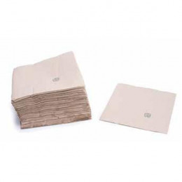 Lot de 50 serviettes en papier Bio Double épaisseur 20 x 20 cm