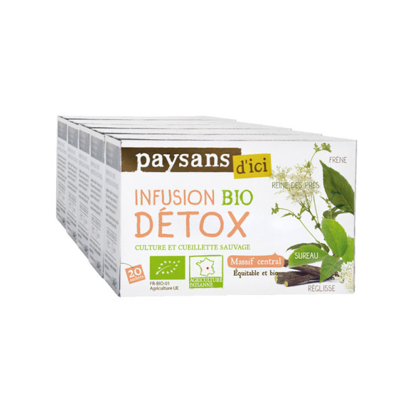 Infusion Bio Éthiquable Détox - 5 boites - 100 sachets