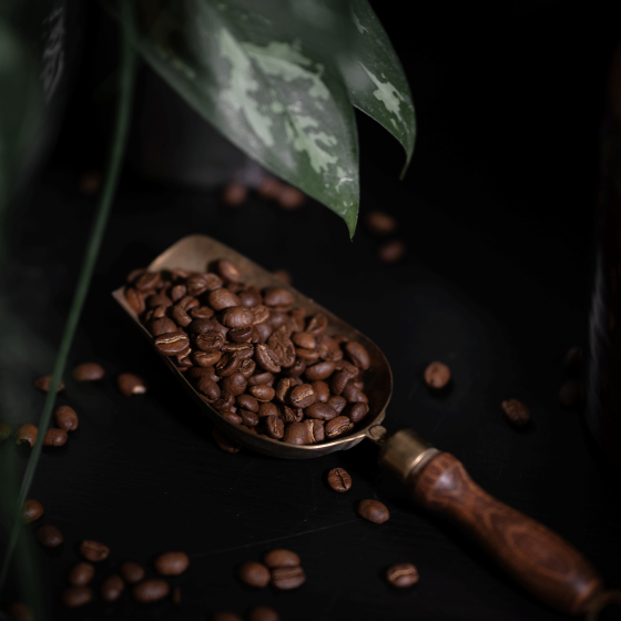 Café en Grains illy Espresso Sélection Inde - 250 gr