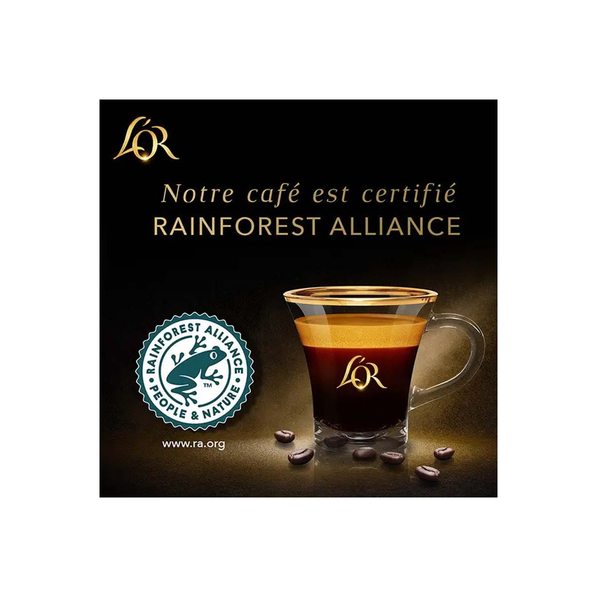 café L'OR Sélection BARISTA 10 Capsules ESPRESSO intensité 13
