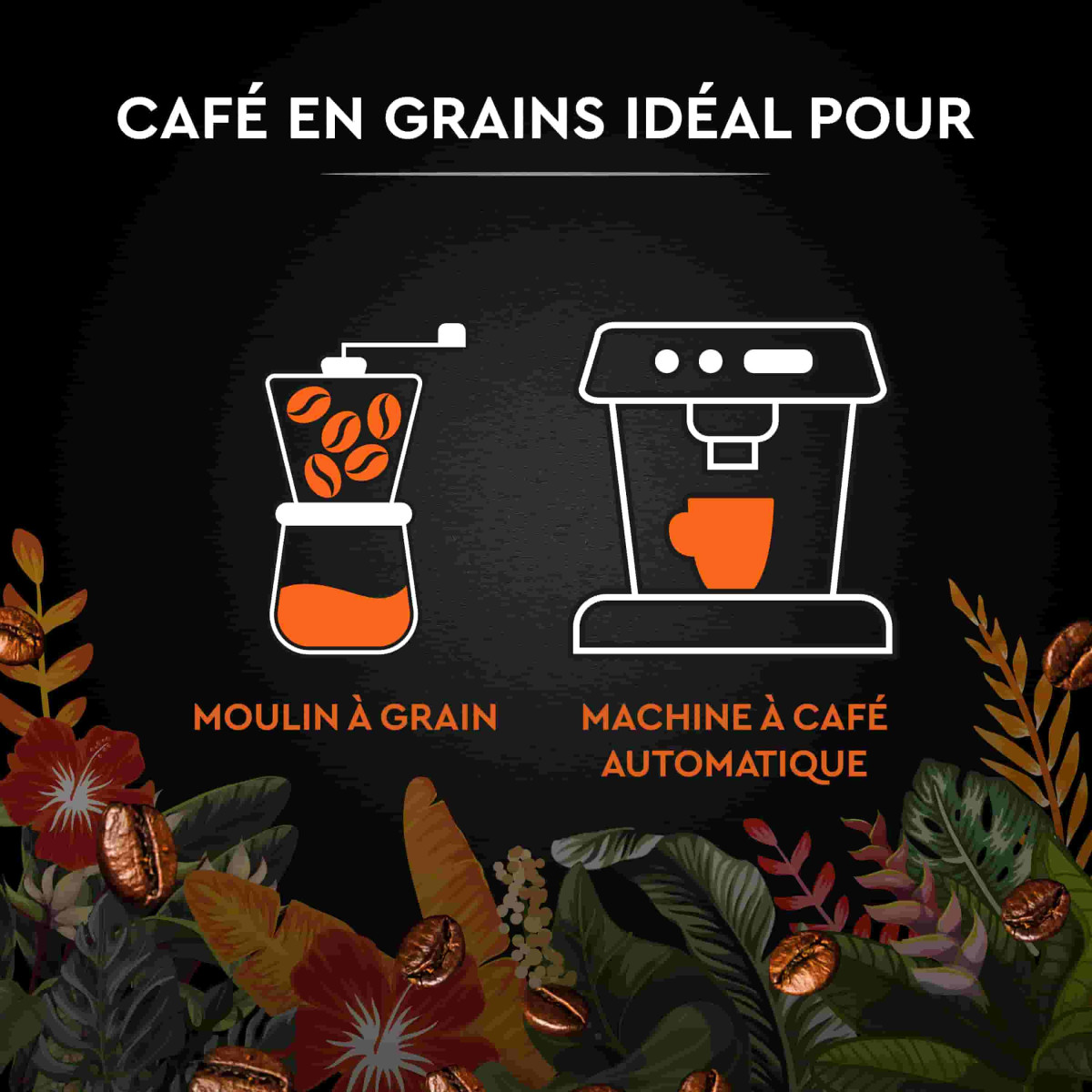 Café en grains Carte Noire Secrets de Nature - 1kg –