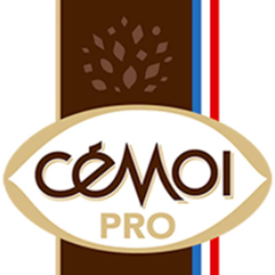 Chocolat Chaud Cémoi - 250 dosettes individuelles