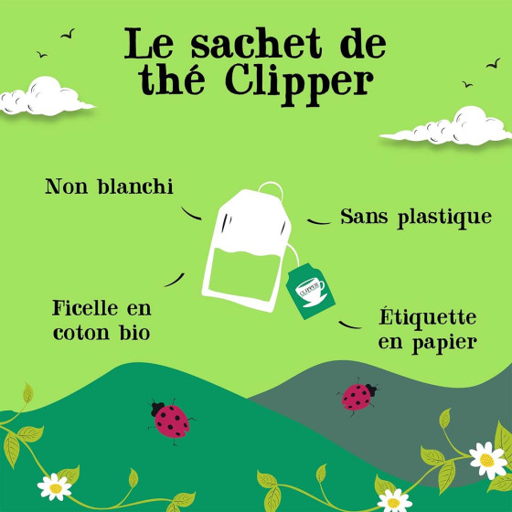 Thé Vert Bio Clipper Framboise Menthe - 20 sachets