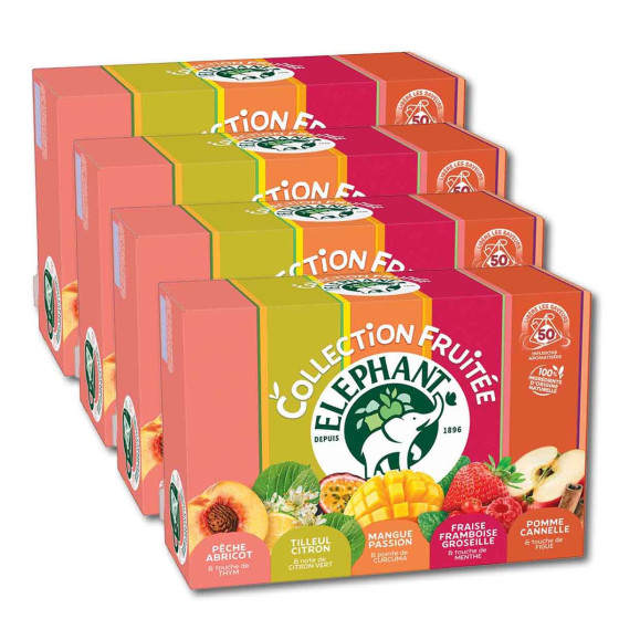 ELEPHANT Coffret d'Infusions Fruit&eacute;es &Eacute;l&eacute;phant 5 vari&eacute;t&eacute;s - 4 coffrets - 200 sachets pyramides 