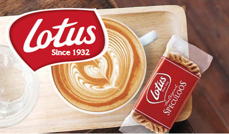 Biscuits Spéculoos Lotus : achat en gros - Coffee Webstore