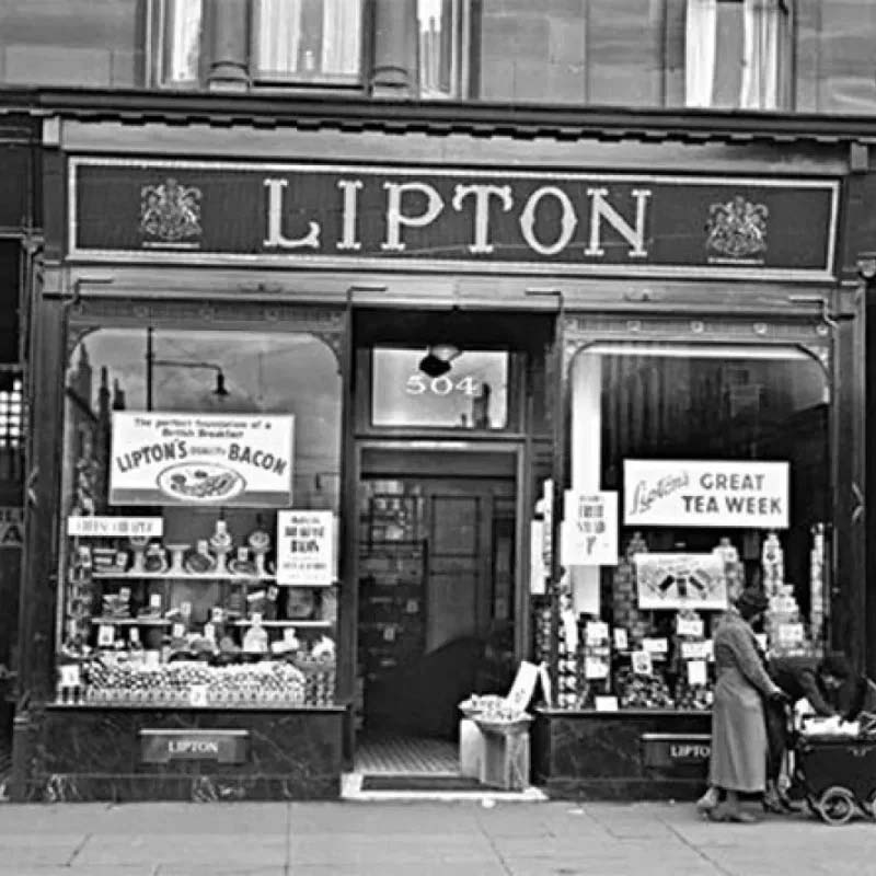 magasin lipton