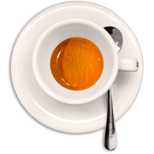 ILLY Coffee Madagascar - ♨️illy classico grains dans des boîtes en métal de  3 kg . Idéal pour les bars et les établissements qui servent des volumes  élevés de café ☕, le
