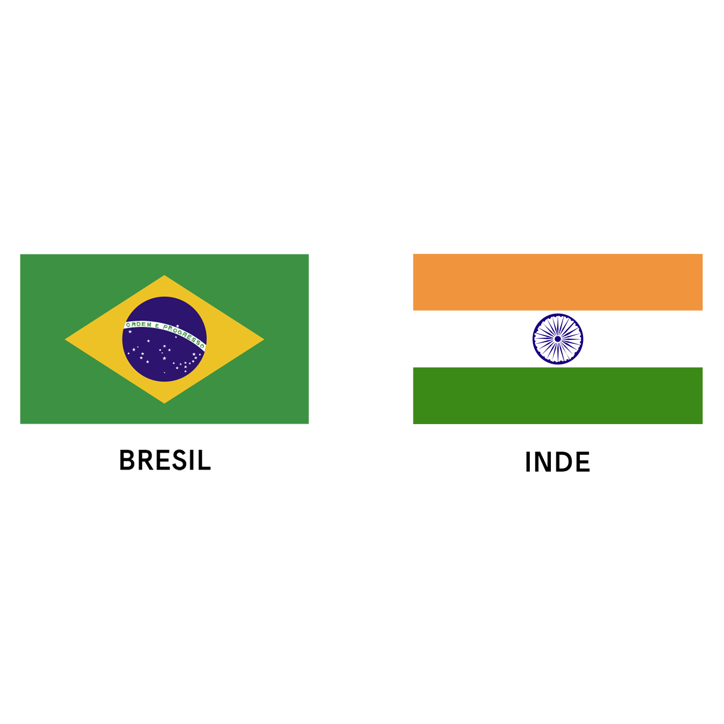 drapeaux brésil inde